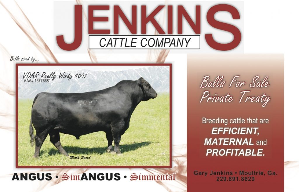 jenkins-cattle-co-bulls-for-sale